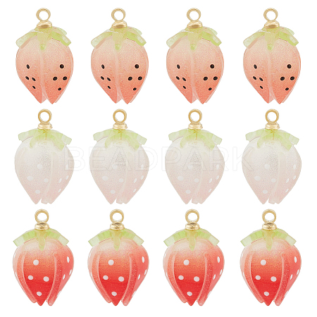 DICOSMETIC 12Pcs 3 Colors Plastic Enamel Pendants KY-DC0001-10-1