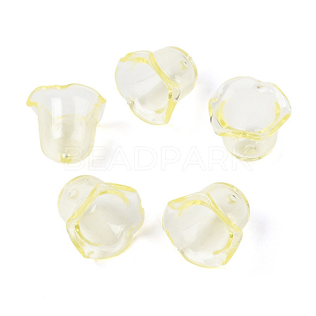Transparent Acrylic Bead Caps TACR-T028-58E-1