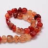 Natural Agate Chip Bead Strands G-M298-16-2