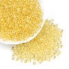 3/0 Baking Paint Glass Fringe Seed Beads SEED-A034-04A-3