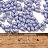 Baking Painted Glass Seed Beads SEED-C004-04I-4