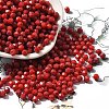 Picasso Baking Paint Glass Seed Beads SEED-A032-02A-09-1