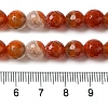 Dyed & Heated Natural Fire Crackle Agate Beads Strands G-P539-B01-19-5
