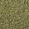 MIYUKI Round Rocailles Beads X-SEED-G007-RR1125-3
