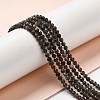 Natural Silver Sheen Obsidian Beads Strands G-E608-A02-B-4