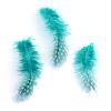 Chicken Feather Costume Accessories FIND-Q048-03-1