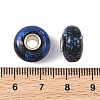 Lampwork & Brass Core European Beads LAMP-P019-01P-19-3