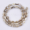 Freshwater Shell Beads Strands SHEL-S276-34B-2