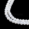 Natural Cultured Freshwater Shell Beads Strands BSHE-H109-03A-4