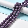 Natural Lepidolite/Purple Mica Stone Beads Strands G-B029-B03-04-4