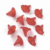 Transparent Acrylic Beads BSF796-C12-4