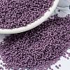 MIYUKI Round Rocailles Beads X-SEED-G009-RR4489-1