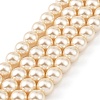 Preciosa® MAXIMA Crystal Nacre Pearls Y-PRC-NPA8-71000-2