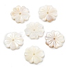 Natural Freshwater Shell Beads SHEL-Z002-02-1