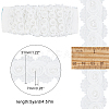 Fingerinspire 4.6~5 Yards Lace Embroidery Trimming DIY-FG0003-31-2