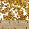 Glass Seed Beads SEED-K009-11B-01-4