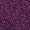 TOHO 8/0 Round Beads SEED-XTR08-2223-2