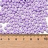 Baking Paint Luster Glass Seed Beads SEED-B001-04A-09-4
