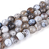 Dyed & Heated Natural Fire Crackle Agate Beads Strands G-N359-01A-03-2