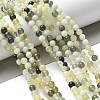 Natural New Jade Beads Strands G-F591-16-6MM-8