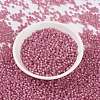 MIYUKI Round Rocailles Beads X-SEED-G008-RR0556-3