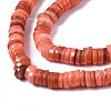 Natural Freshwater Shell Beads Strands X-SHEL-S278-025H-3