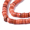 Natural Freshwater Shell Beads Strands X-SHEL-S278-025H-3