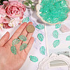 60Pcs Handmade Lampwork Pendants LAMP-CA0001-16-3