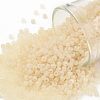 TOHO Round Seed Beads SEED-TR11-0147F-1