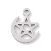 Non-Tarnish 304 Stainless Steel Charms STAS-K286-01F-P-1