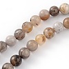 Natural Bamboo Leaf Agate Round Bead Strands G-M248-10mm-04-1