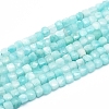 Natural Amazonite Beads Strands G-D0003-B11-1