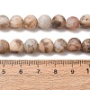 Natural Feldspar Bead Strands G-P295-06-8mm-10