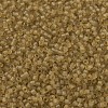MIYUKI Delica Beads SEED-MY11-DB0771-3