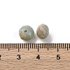 Acrylic Beads OACR-Z025-09-3