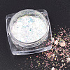Holographic Chunky Glitter Nail Art Pigment Dust MRMJ-S015-009D-1