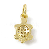 Brass Micro Pave Cubic Zirconia Charms ZIRC-F132-30G-2