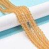 Transparent Glass Beads Strands EGLA-A034-T2mm-MD23-2