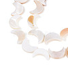 Natural Freshwater Shell Beads Strands SHEL-Q024-015B-01-2