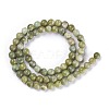 Natural Idocrase Beads Strands G-N165-7-2-3