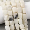Natural White African Opal Beads Strands G-D098-D04-02-1