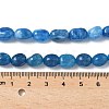 Dyed Natural Malaysia Jade Beads Strands G-P528-I13-01-2