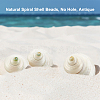   Natural Spiral Shell Beads SHEL-PH0001-42-3