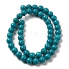 Natural Howlite Beads Strands G-B049-E01-01B-3