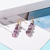 Natural Amethyst Chip Beaded Dangle Earrings EJEW-JE04788-05-2