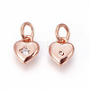Brass Micro Pave Cubic Zirconia Charms ZIRC-F095-04-3