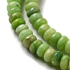 Natural Dolomite Beads Strands G-K350-A01-01I-4