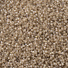 MIYUKI Delica Beads SEED-X0054-DB1731-3