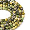 Natural Serpentine Beads Strands G-N166-4-2