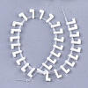Natural Freshwater Shell Beads SHEL-T012-59L-2